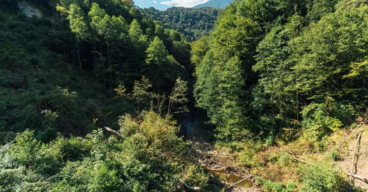 Die Top 10 nachhaltigen Reisetrends für Abenteurer