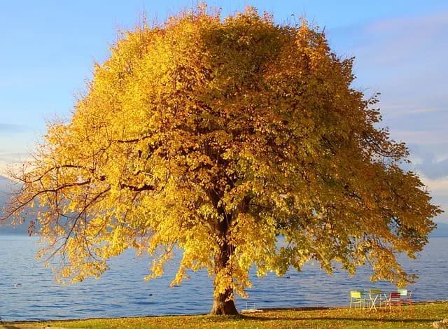 Top 10 nachhaltige Reiseziele für Abenteurer