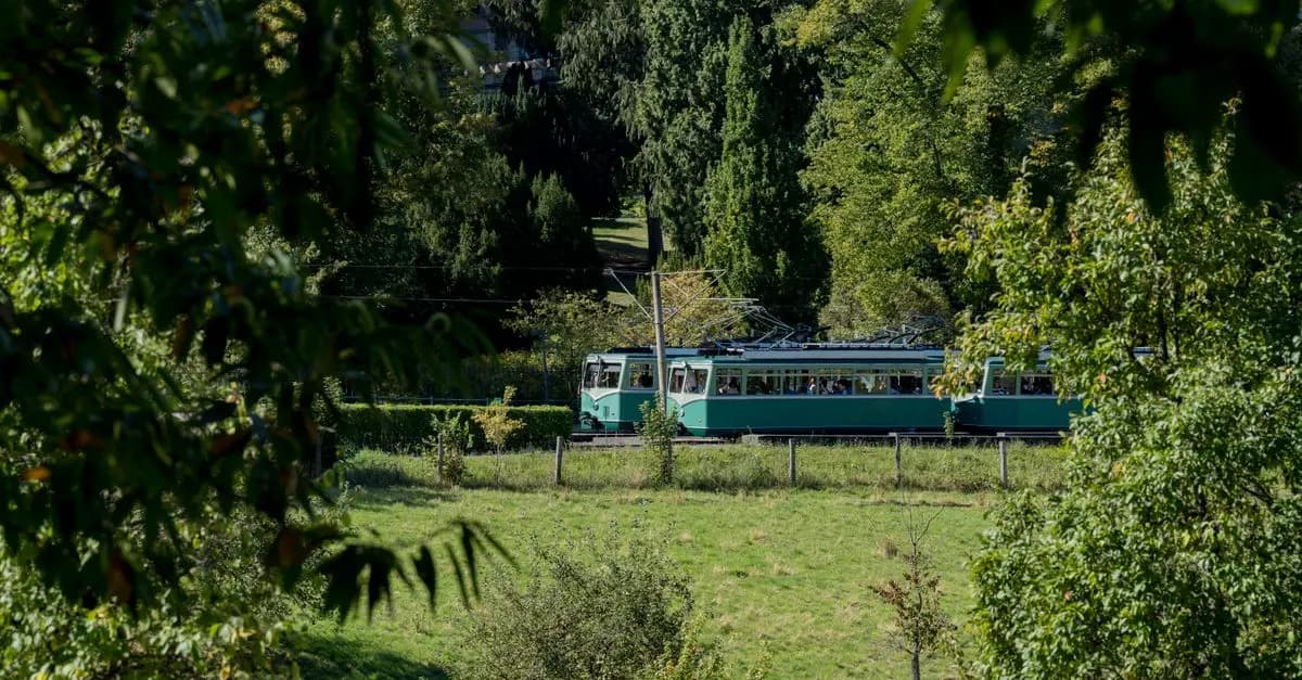 Wie man nachhaltige Entscheidungen beim Reisen trifft