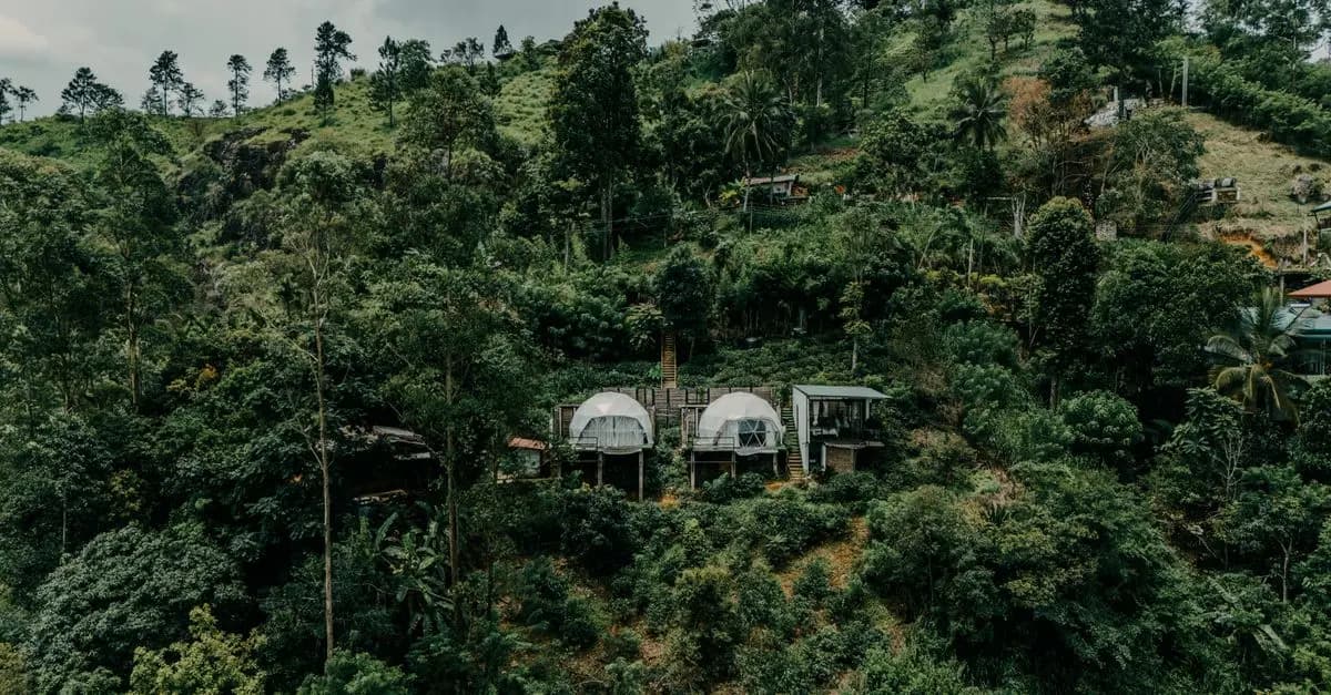 Wie man nachhaltige Reiseentscheidungen trifft: 10 essentielle Tipps