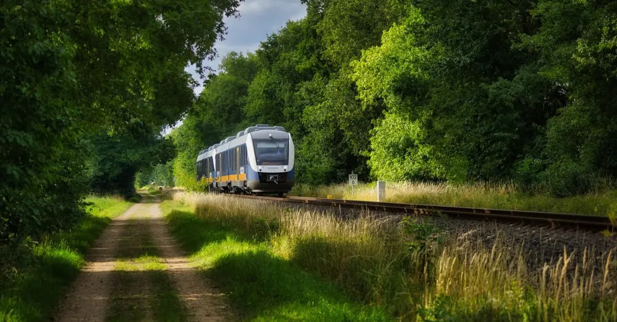 Die besten Tipps für nachhaltiges Reisen: 10 bewährte Strategien