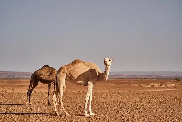 Nachhaltige Reiseziele für Abenteurer: 10 Geheimtipps