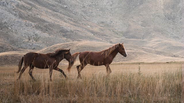 Die besten nachhaltigen Reiseziele für Ihre nächste Expedition