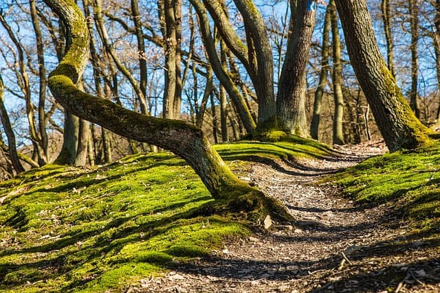 Die besten Tipps für nachhaltige Abenteuerreisen